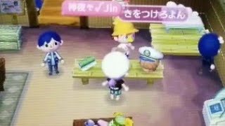【あつ森】健全チーターが非チーターに忠告