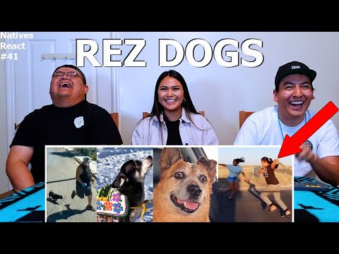 Perros de reserva (Memes de perros de reserva) - Reacción de los nativos n.° 41