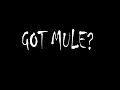 Gov't Mule "End Of The Line"