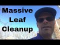 Massive Leaf Cleanup in Pool