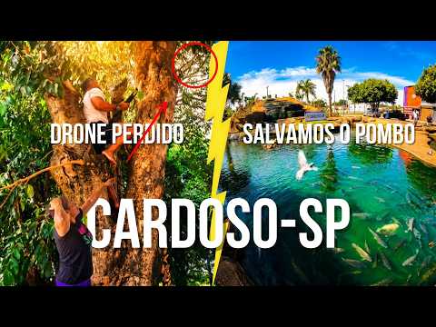 Voltamos em CARDOSO! Perdemos o DRONE e Ainda Salvamos um POMBO FERIDO!