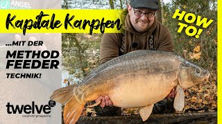 Fette Karpfen auf Method Feeder | Groundbait | Winterkarpfen | Tutorial | Feederangeln | Angel Haack