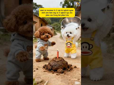 Maomao mang nhầm “cục đen” về nấu cháo và nhận cái kết đau đớn #ai #shorts #dog #poodle #cute