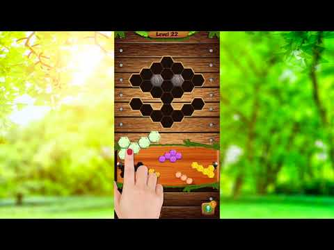 Hexa Wood Block Puzzle Video