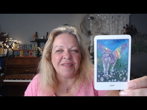 Your Daily Focus for August 21, 2019 through Tarot, Numerology and Astrology