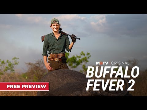 Buffalo Fever 2 | An MOTV Original