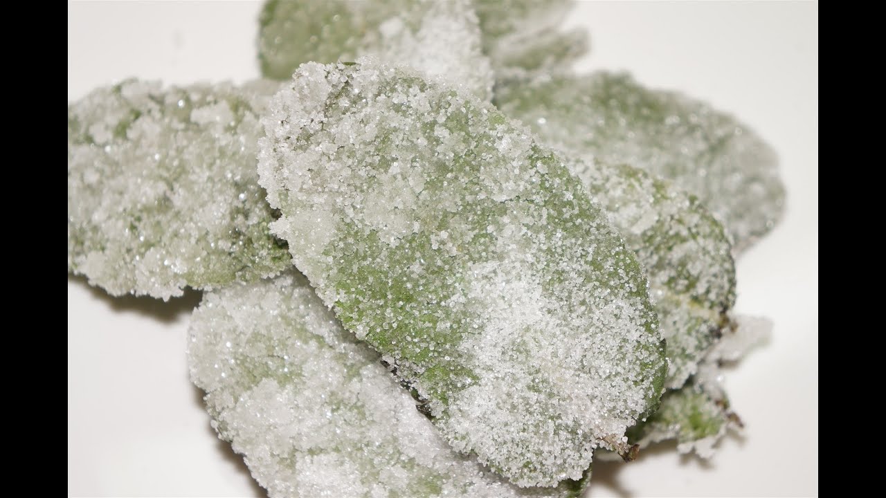 Menthe cristallisée très facile