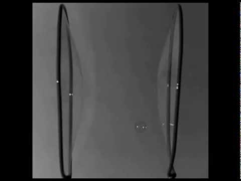 Minimal surface catenoid collapses to Goldschmidt