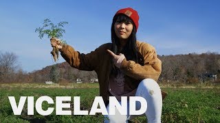 In the Weeds | HUSTLE