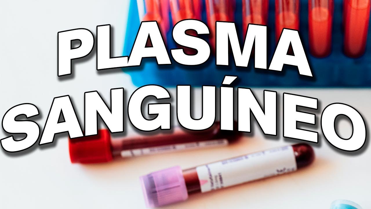 Plasma Sanguíneo - Suas características