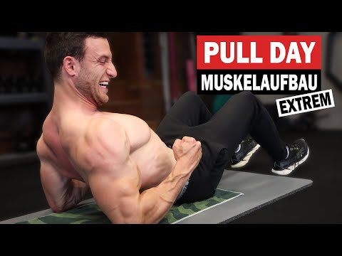 20 Minuten PULL DAY für Zuhause ohne Geräte! | Rücken, Bizeps - Sascha Huber