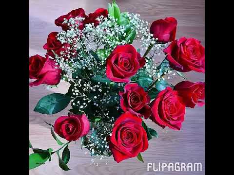 Mariano Barba - Aliado Del Tiempo (Creado Por Un Fan)(Video) ✔️