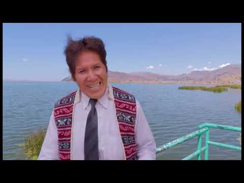 SELECCION DE HUAYÑOS - GRUPO SERENATA DE PUNO 2020