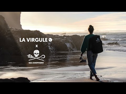 Vorschaubild Video