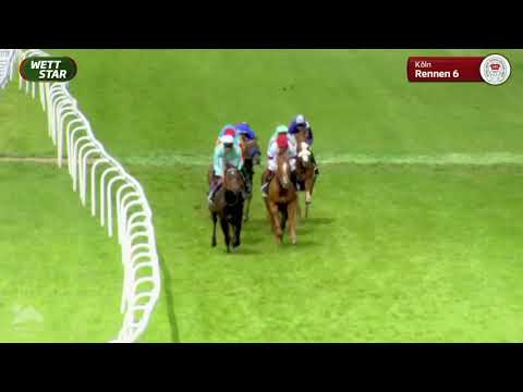 Carl Jaspers Preis - Gruppe 2