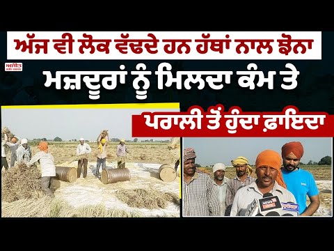 ਅੱਜ ਵੀ ਲੋਕ ਵੱਢਦੇ ਹਨ ਹੱਥਾਂ ਨਾਲ ਝੋਨਾ 