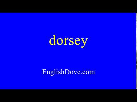 How to pronounce dorsey in American English.