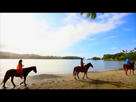 Veivanua au dau sokota voli