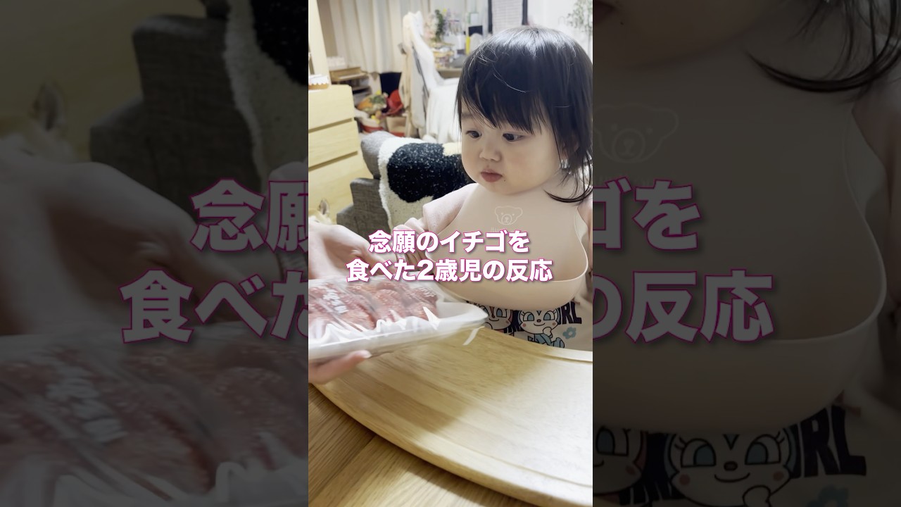念願のイチゴを食べた2歳児の反応w #shorts #みいちゃん #かわいい #もぐもぐタイム