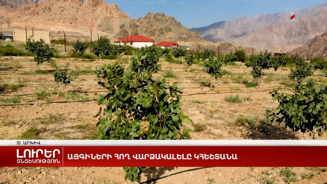 Այգիների հող վարձակալելը կհեշտանա