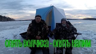 Отчеты о рыбалке волчихинское водохранилище 2020