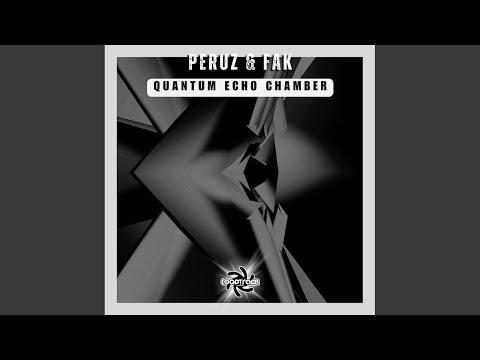 Quantum Echo Chamber