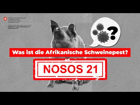 , title : 'NOSOS 21 - Was ist die afrikanische Schweinepest?'