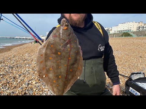￼ uk sea fishing Brighton Beach haw to catch plaice tips