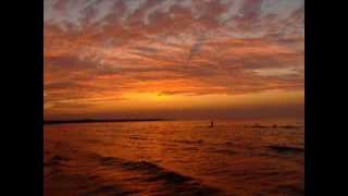 Chris Rea- TOUCHE D&#39;AMOUR  [cover] by Bea