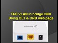 How to TAG VLAN in bridge ONU | Hindi