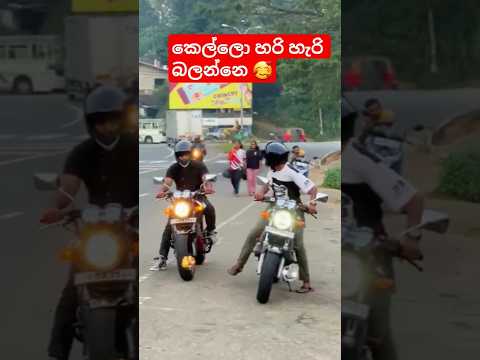 ලොකු පොඩි හැමෝම ආසඒවා 😍 #hornet250 #superbike #motorbike #rider #slbikes #automobile #vehicles#stunt