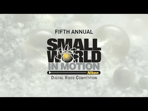 Nikon "Small World in Motion" 2015 győztesek