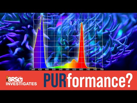 Tested: PUR & the Quality of Light. How Will Our 50+ Reef Tank Lights Fare?