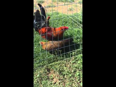 Larry Romero O/O Kelso trio