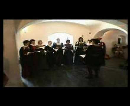Cantio antiqua - Cantio antiqua Praha: Live at Dobrichovice chateau 2007