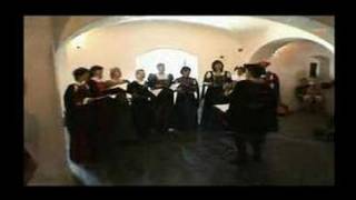 Video Cantio antiqua Praha: Live at Dobrichovice chateau 2007