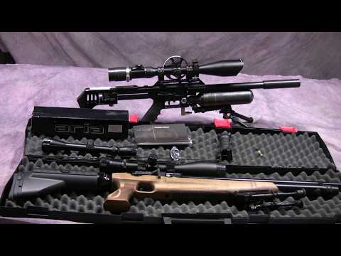 FX Impact vs Kral Pitbull .25 cal.