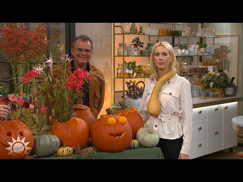 Pynta till Halloween - så fixar du pumpan - Nyhetsmorgon (TV4)