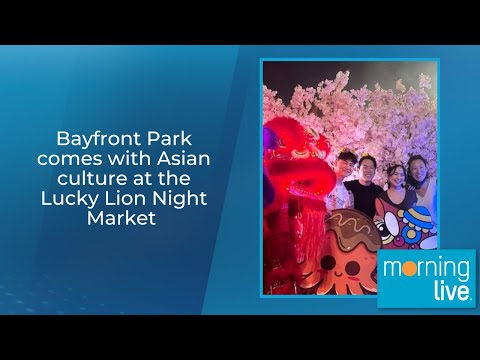 Bayfront Park comes with Asian culture at the Lucky Lion Night Market