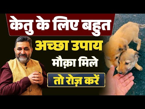 केतु के लिए बहुत अच्छा उपाय | good remedy for Ketu | Ketu | | astrology | lalkitab | dog | dog feed 