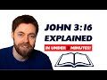 John 3:16 explained! What the Bible's most famous and popular verse REALLY means!