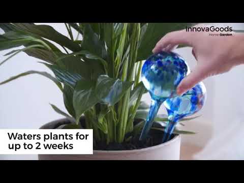 Automatiska bevattningsglober Aqua·loon InnovaGoods (2 St)