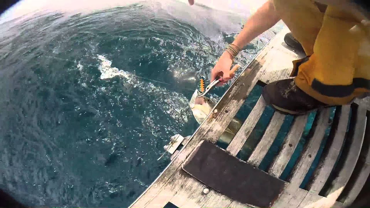 2 Spoons, 2 Fishermen, One Fish!