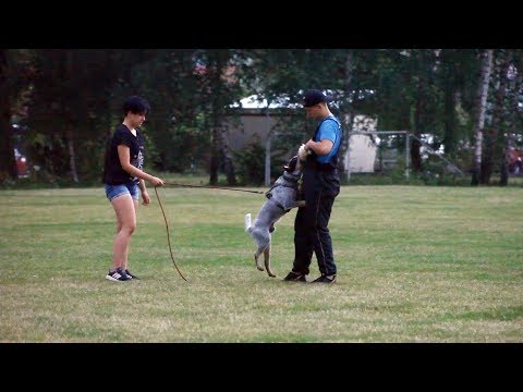 Ever - 8 months, defence