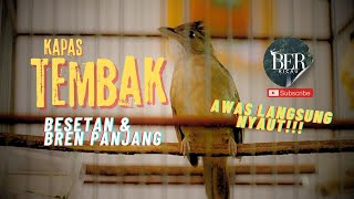 Download lagu KAPAS TEMBAK NGEBREN PANJANG !!! #kapastembak #kapastembakgacor #kicaumania #masteranjernih #katem mp3