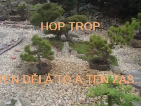 HOP TROP   TEN DĚLÁ TO A TEN ZAS TOHLE