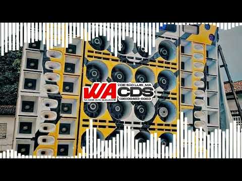 LEOZINHO PISADINHA - RALANDO A PLACA - PISEIRO COM REPIQUE NA LATA - PRA PAREDÃO - WACDS