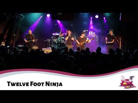 Twelve Foot Ninja 