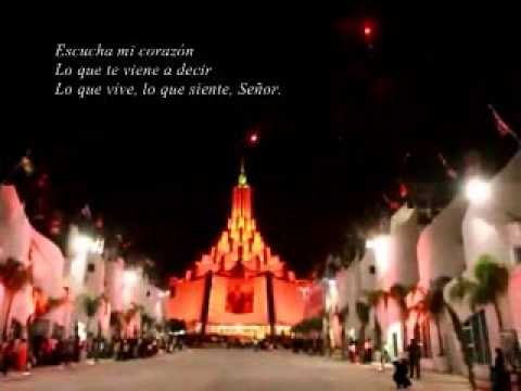 He venido mi Señor -Jabk