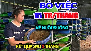 Quit Her Stable Job of 15 Million Per Month, A Mountainous Girl Returned To Raise Coconut Worms A...